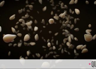 Αλήθεια, εσύ ξέρεις πώς να διαλέγεις το καλό ταχίνι;