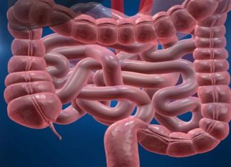 Προσοχή: 5 τροφές που “διαλύουν” το έντερο