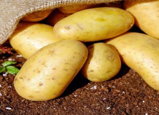 Αν έχουν αυτό το χρώμα οι πατάτες σου είναι επικίνδυνες!