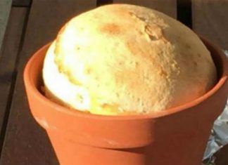 Φτιάξτε το τέλειο χωριάτικο ψωμί μέσα σε… γλάστρα