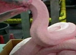 Κι όμως: Αυτά τα απαίσια συστατικά περιέχονται σε καθημερινές τροφές