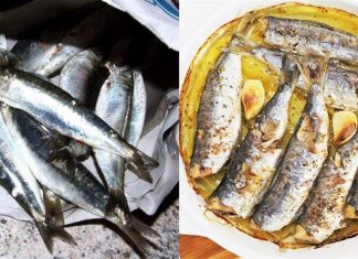 Σαρδέλες: Ανεκτίμητη διατροφική αξία – Ποια τα οφέλη τους και 2 νόστιμες συνταγές για να τις μαγειρέψετε
