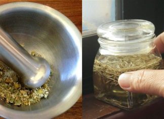 5 συνδυασμοί για αρωματικό λάδι με βότανα, οι συνταγές για να τα φτιάξετε και που χρησιμοποιείται το καθένα