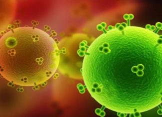 Ο καρκίνος πεθαίνει όταν τρώμε αυτές τις 7 τροφές – Ώρα να τις βάλουμε στη διατροφή μας