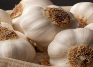 Σκόρδο: 11 εύκολα κόλπα εξουδετέρωσης της δύσοσμης αναπνοής