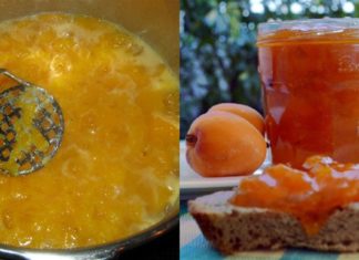 Σπιτική μαρμελάδα βερίκοκο: Νόστιμη και μυρωδάτη συνταγή με πολλά οφέλη για την υγεία