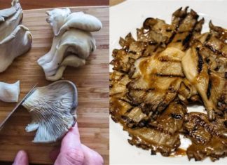 Ψητά μανιτάρια πλευρώτους με λαδορίγανη: Το εύκολο ορεκτικό που είναι πιο νόστιμο κι από κρέας