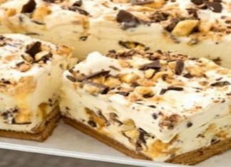 Γλυκό ψυγείου με ζαχαρούχο γάλα και κομματάκια σοκολάτας