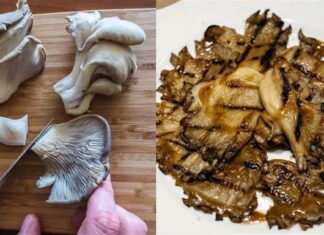 Ψητά μανιτάρια πλευρώτους με λαδορίγανη: Το εύκολο ορεκτικό που είναι πιο νόστιμο κι από κρέας