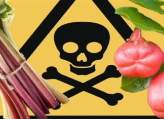 Απειλούν τον οργανισμό: 7 τροφές «καταστροφή» για την καρδιά σας