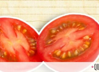 Πώς ξεφλουδίζουμε πιο γρήγορα τις ντομάτες;