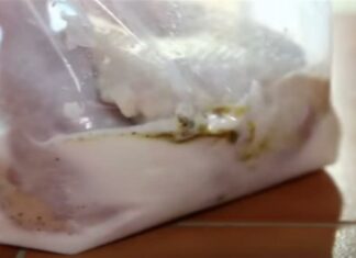 Βάζει σε μια σακούλα γιαούρτι, μπαχαρικά και κοτόπουλο – Μόλις δείτε το λόγο θα τρέξετε να το κάνετε!