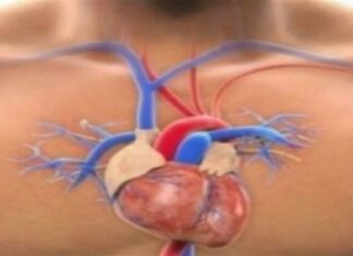 Θαυματουργό φρούτο – Πείτε «αντίο» σε ένα σημαντικό πρόβλημα υγείας