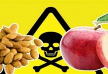 8 τροφές δηλητήριο για την καρδιά – Δείτε ποιες είναι