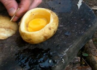 Πήρε μία πατάτα και έβαλε μέσα ένα αυγό – Ο λόγος; Καταπληκτικός!