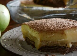 Θα χαλάσεις λιγότερα από 10 ευρώ – Οικονομικό γλυκό ψυγείου μήλο χωρίς ζάχαρη