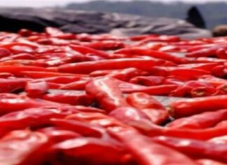 5 τροφές που απαγορεύεται να βάλετε στο φούρνο μικροκυμάτων – Μπορεί να προκληθεί έκρηξη