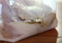 Βάζει σε μια σακούλα γιαούρτι, μπαχαρικά και κοτόπουλο – Μόλις δείτε το λόγο θα τρέξετε να το κάνετε!