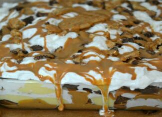 Γλυκό ψυγείου με μπισκότα βουτύρου!