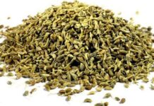 Δοκιμάστε να τρίψετε το Δέρμα σας με αυτό το Βότανο και δείτε τις Ρυτίδες να Εξαφανίζονται!