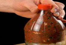 Βάζει τον κιμά μέσα σε ένα πλαστικό μπουκάλι – Το αποτέλεσμα θα σας ενθουσιάσει!