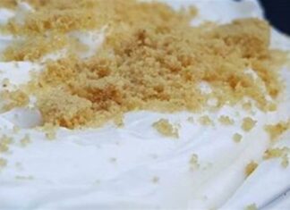 Εύκολη μους λεμονιού από την Βέφα Αλεξιάδου – Για “σβήσιμο” μετά το φαγητό