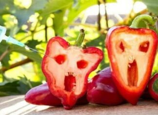 Κίνδυνος θάνατος: Αυτά είναι τα 10 πιο μεταλλαγμένα τρόφιμα