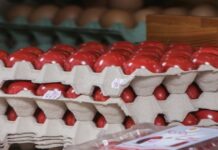 Αυγά: Πόση ώρα χρειάζεται για να βράσουν – Τα ιδανικά λεπτά για το βάψιμο