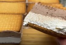 Κολασμένο μπισκοτογλυκό με κακάο, σαντιγί και άλλα 3 υλικά έτοιμο σε 5′