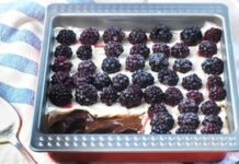 Με βατόμουρα και σοκολάτα – Κάνει θραύση αυτό το γλυκό ψυγείου της Αργυρώς Μπαρμπαρίγου