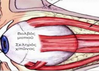 7 θαυματουργές τροφές που βελτιώνουν την όραση με φυσικό τρόπο – Θα εκπλαγείτε