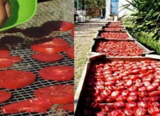 Σπιτική Συνταγή για να Φτιάξουμε Λιαστές Ντοματούλες μόνοι μας με 3 τρόπους!