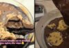 Το πιο εύκολο brookie για να φτιάξεις στην σχέση σου τώρα